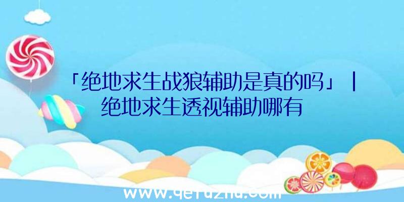 「绝地求生战狼辅助是真的吗」|绝地求生透视辅助哪有